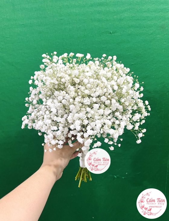 Bó hoa cưới abby trắng tinh khôi - HC013